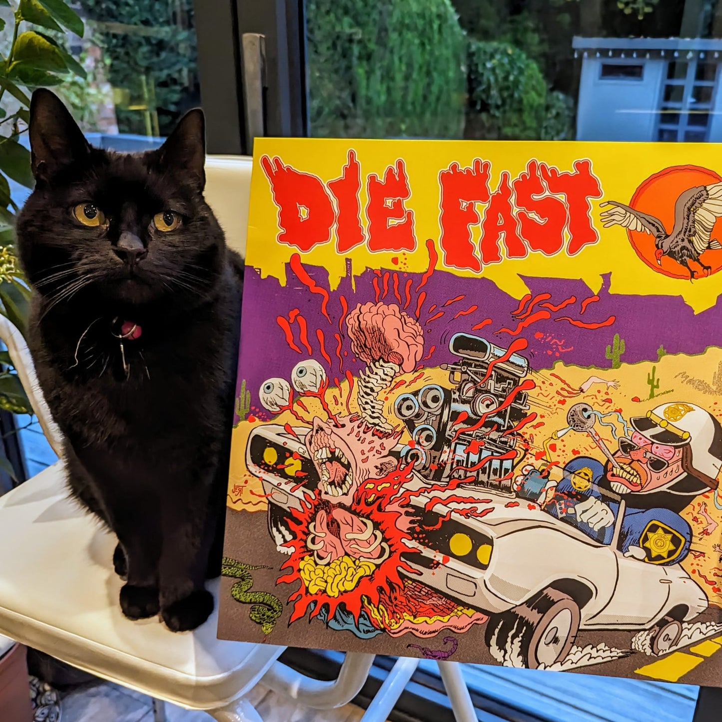 Die Fast 12” Vinyl